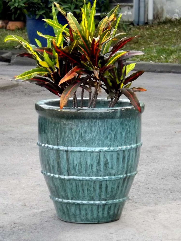 Glazed dragon kiln planter