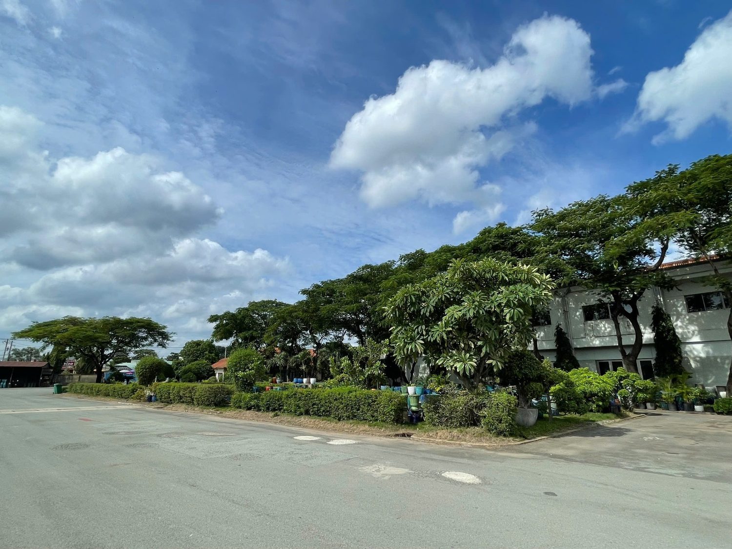 Grounds and landscaping at the works, TNL & Son factory, Binh Duong, Vietnam